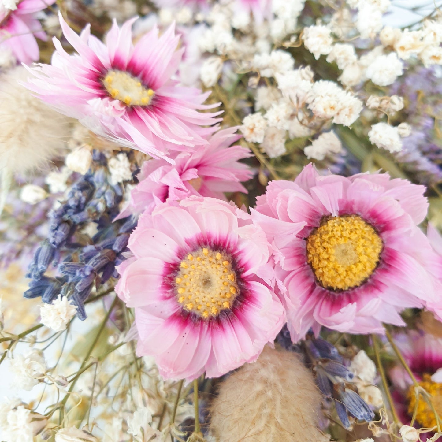 "Wildflower Meadows" Dried Flower Wreath - Lytton Rose Botanical