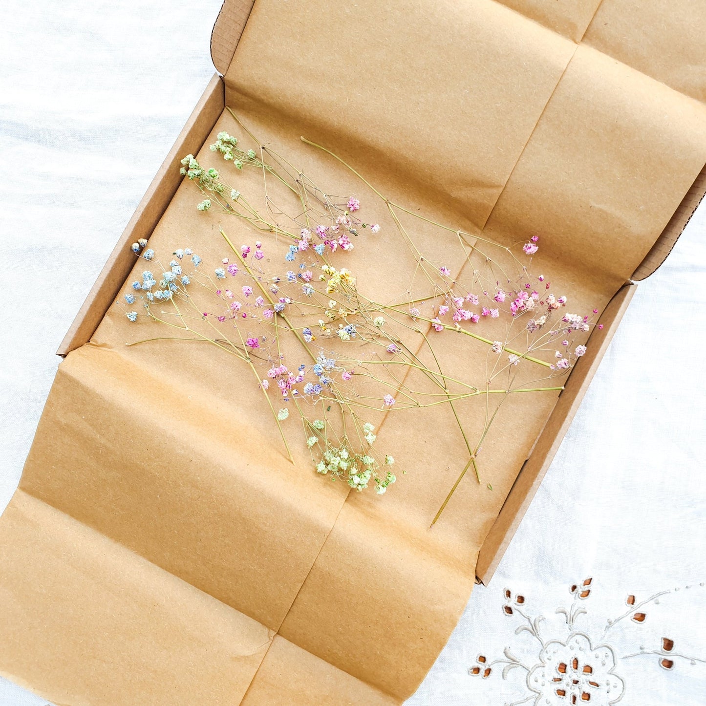 Dried Rainbow Gypsophila Sprigs, aka Babys Breath - Lytton Rose Botanical