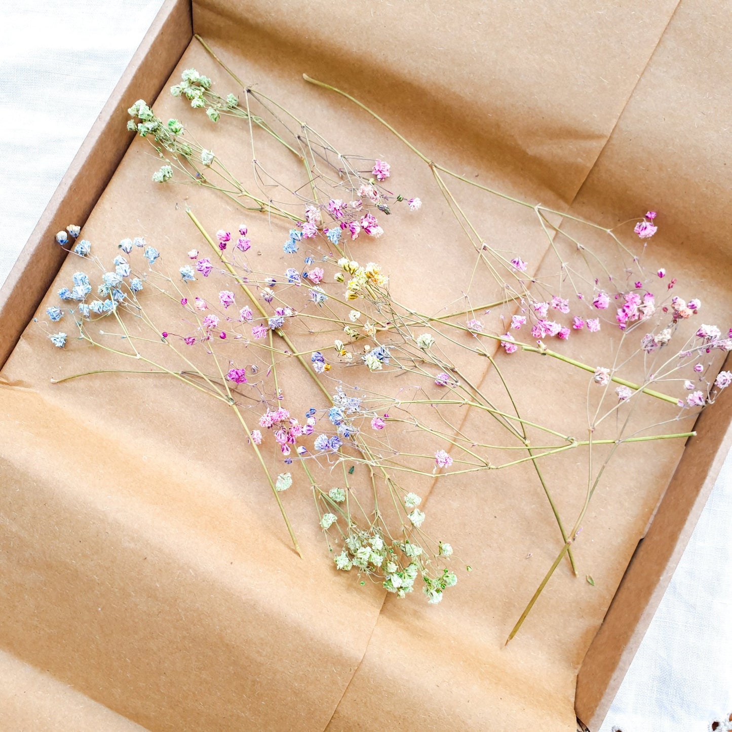 Dried Rainbow Gypsophila Sprigs, aka Babys Breath - Lytton Rose Botanical