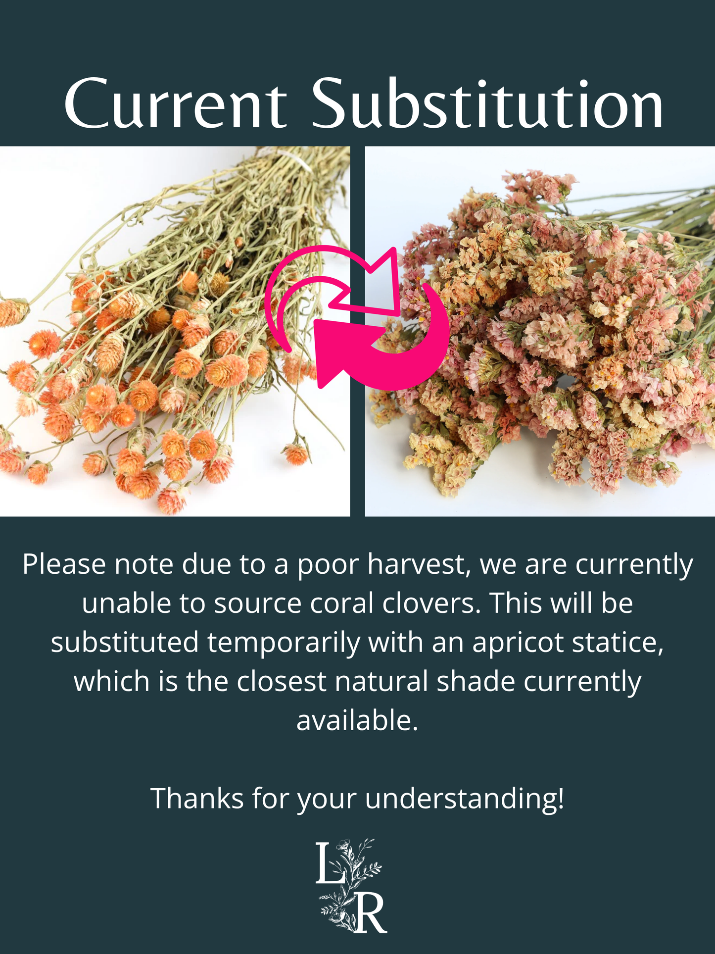 "Paradise Garden" Dried Flower Buttonhole