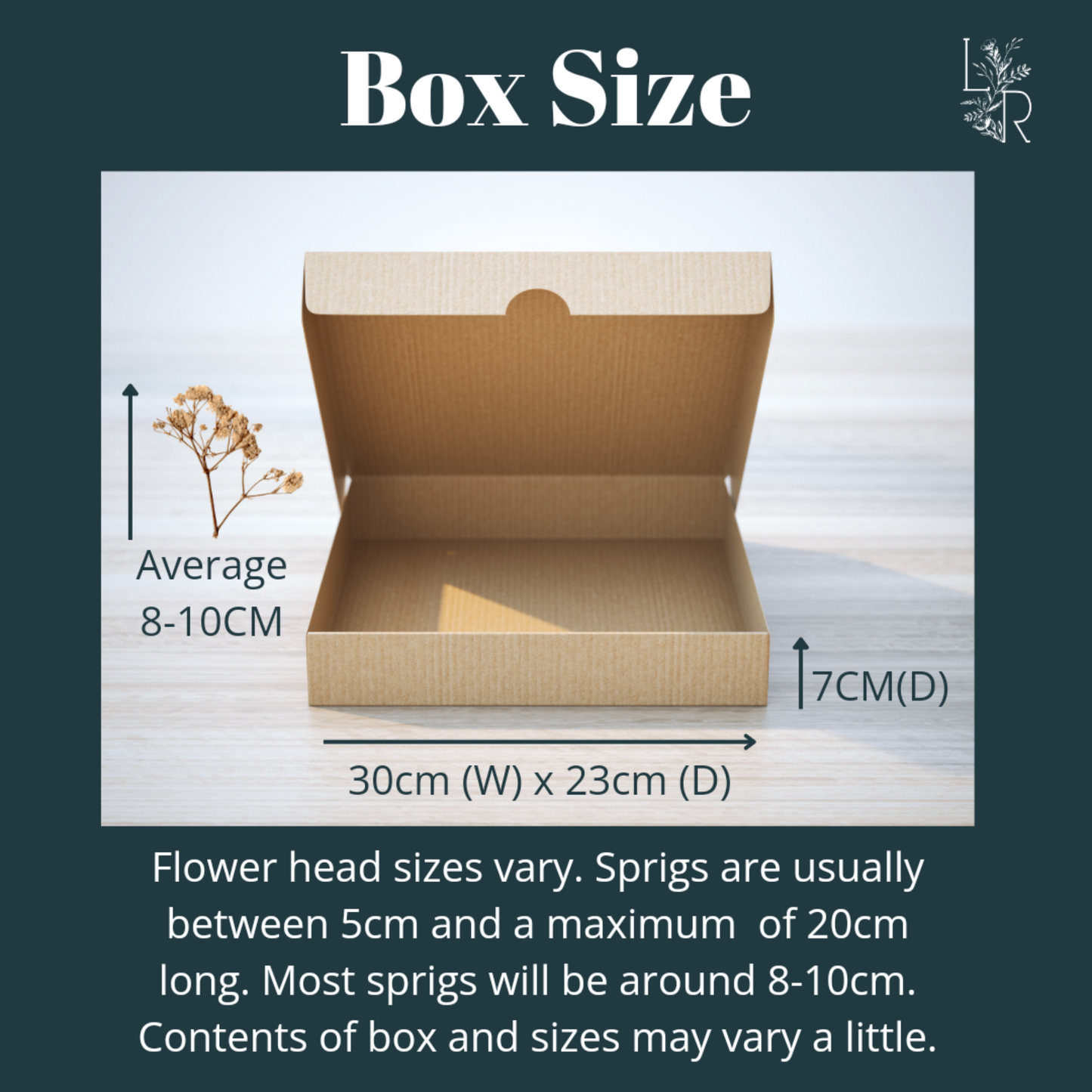 A diagram illustrating the dimensions of a cardboard box. The box is open, revealing its interior. Measurements are provided for the 30cm width, 23cm depth, and 7cm height of the box. Image also shows a dry flower sprig which says average 8-10cm.