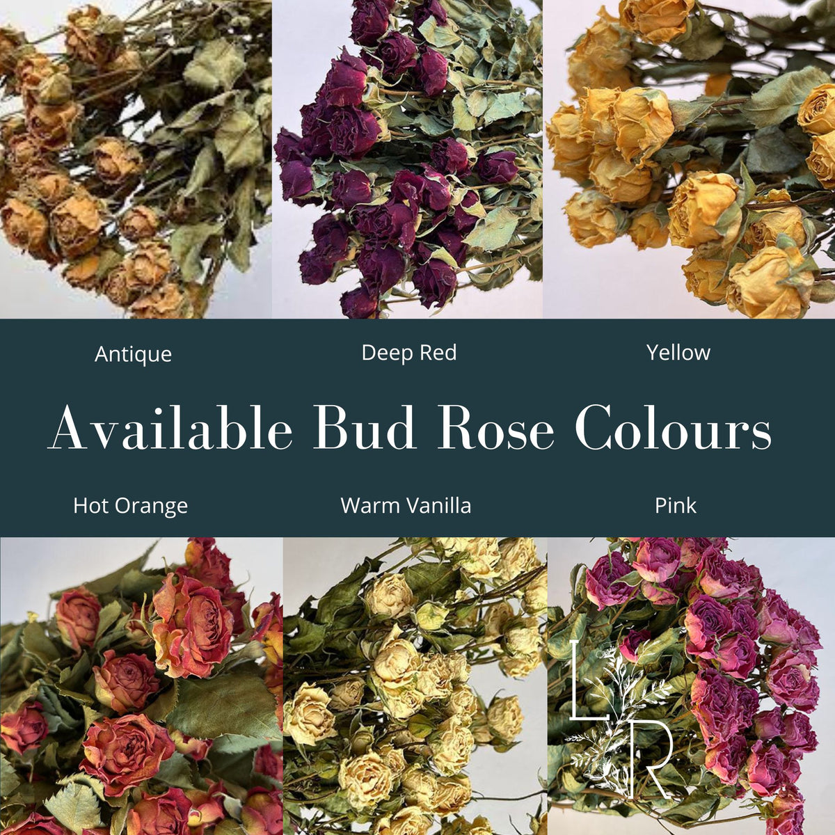 "Cottage Garden" Wrist Corsage - Multi - Lytton Rose Botanical