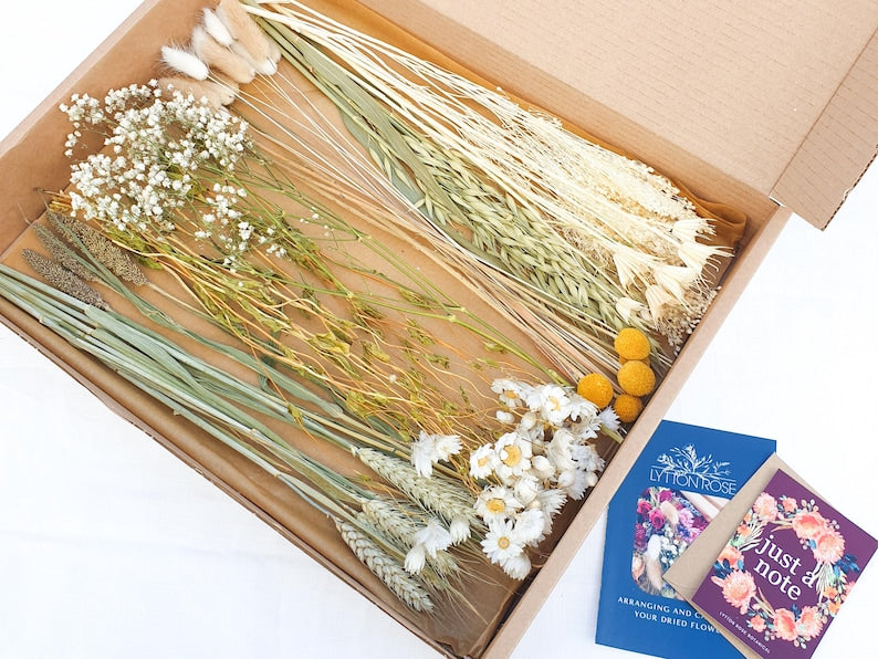 Dried Flower Mixed Box of Meadow Style Loose Stems- the arrangement is called Summer Gold by Lytton Rose Botanical. A cardboard box filled with a vibrant assortment of dried flowers and grasses. The flowers include white daisies, gypsophila and yellow craspedia, while the grasses feature a mix of wheat, oats and fluffy lagurus bunny tails.