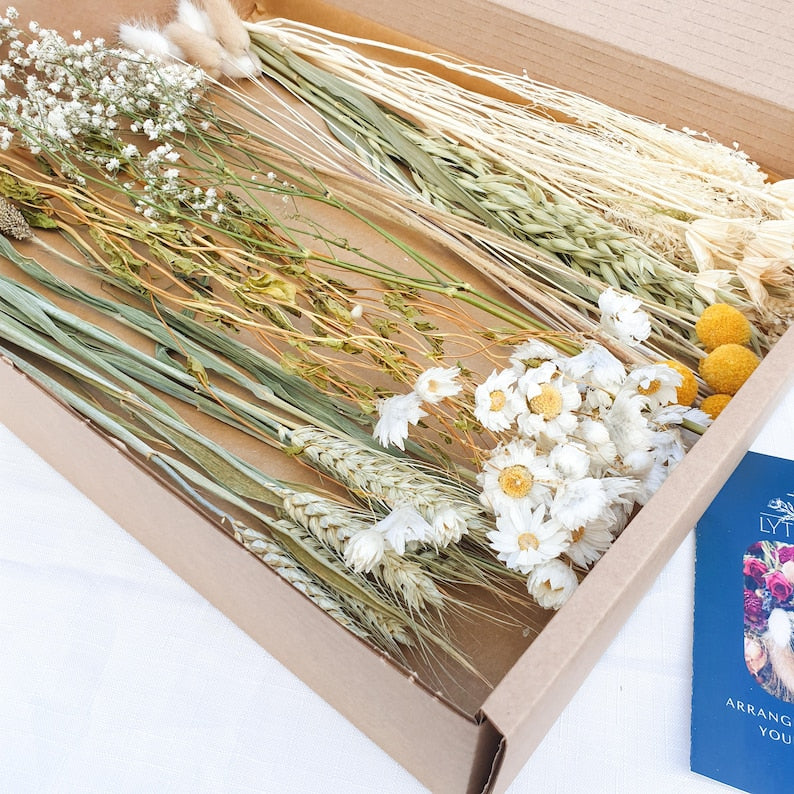 Dried Flower Mixed Box of Meadow Style Loose Stems- the arrangement is called Summer Gold by Lytton Rose Botanical. A cardboard box filled with a vibrant assortment of dried flowers and grasses. The flowers include white daisies, gypsophila and yellow craspedia, while the grasses feature a mix of wheat, oats and fluffy lagurus bunny tails.
