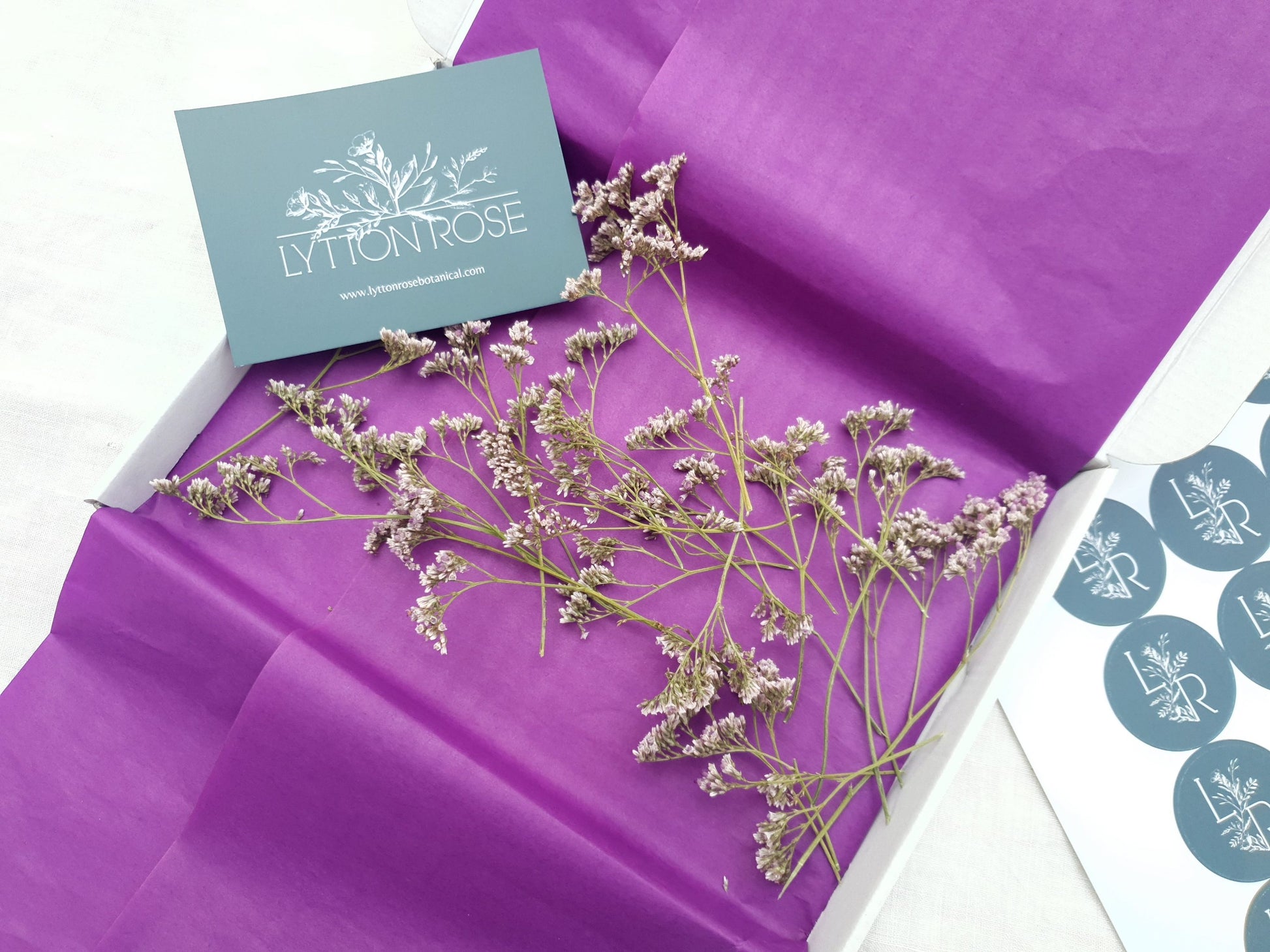 Dried Limonium Sprigs in Lilac, aka Sea Lavender - Lytton Rose Botanical