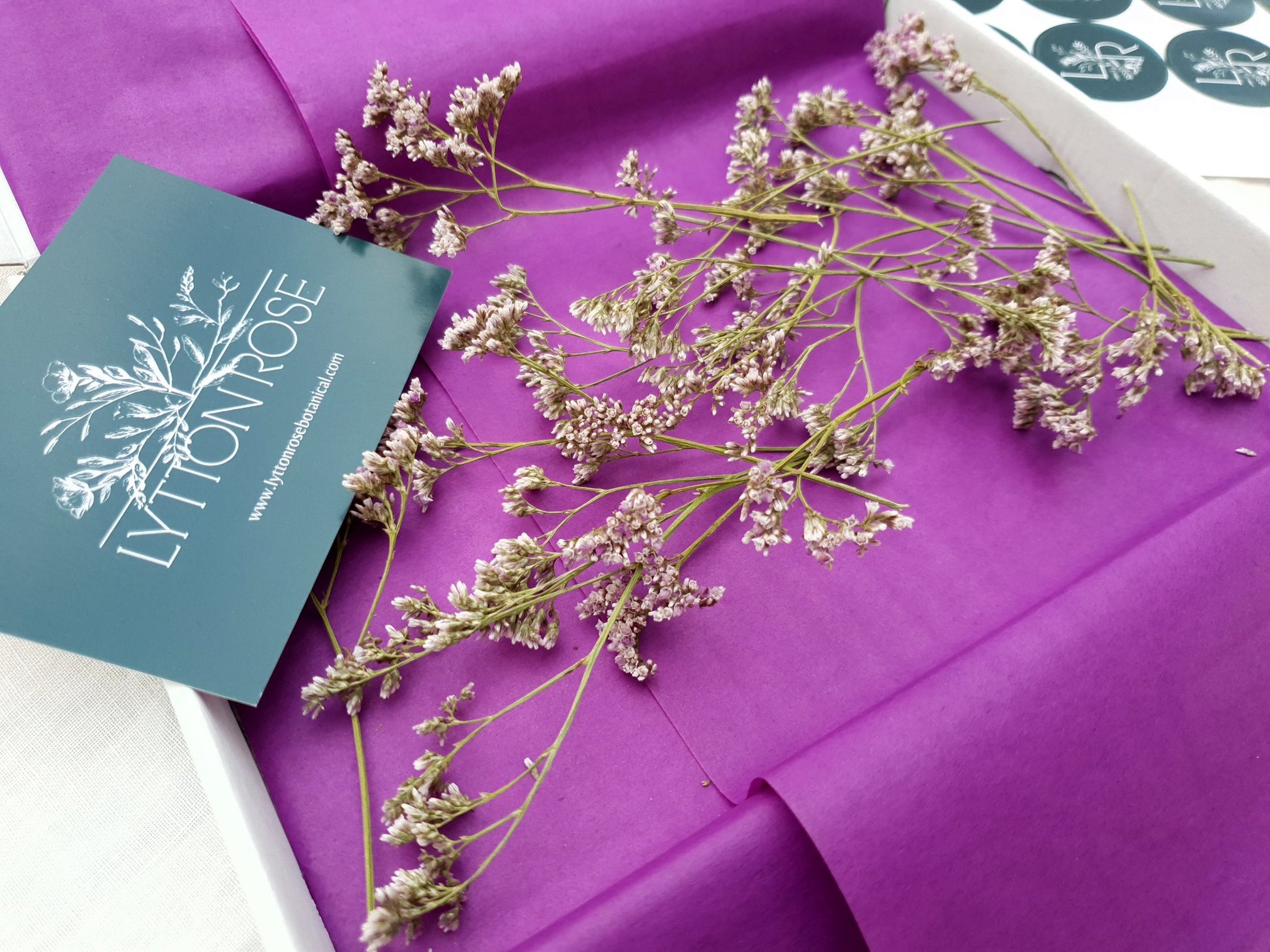 Dried Limonium Sprigs in Lilac, aka Sea Lavender - Lytton Rose Botanical