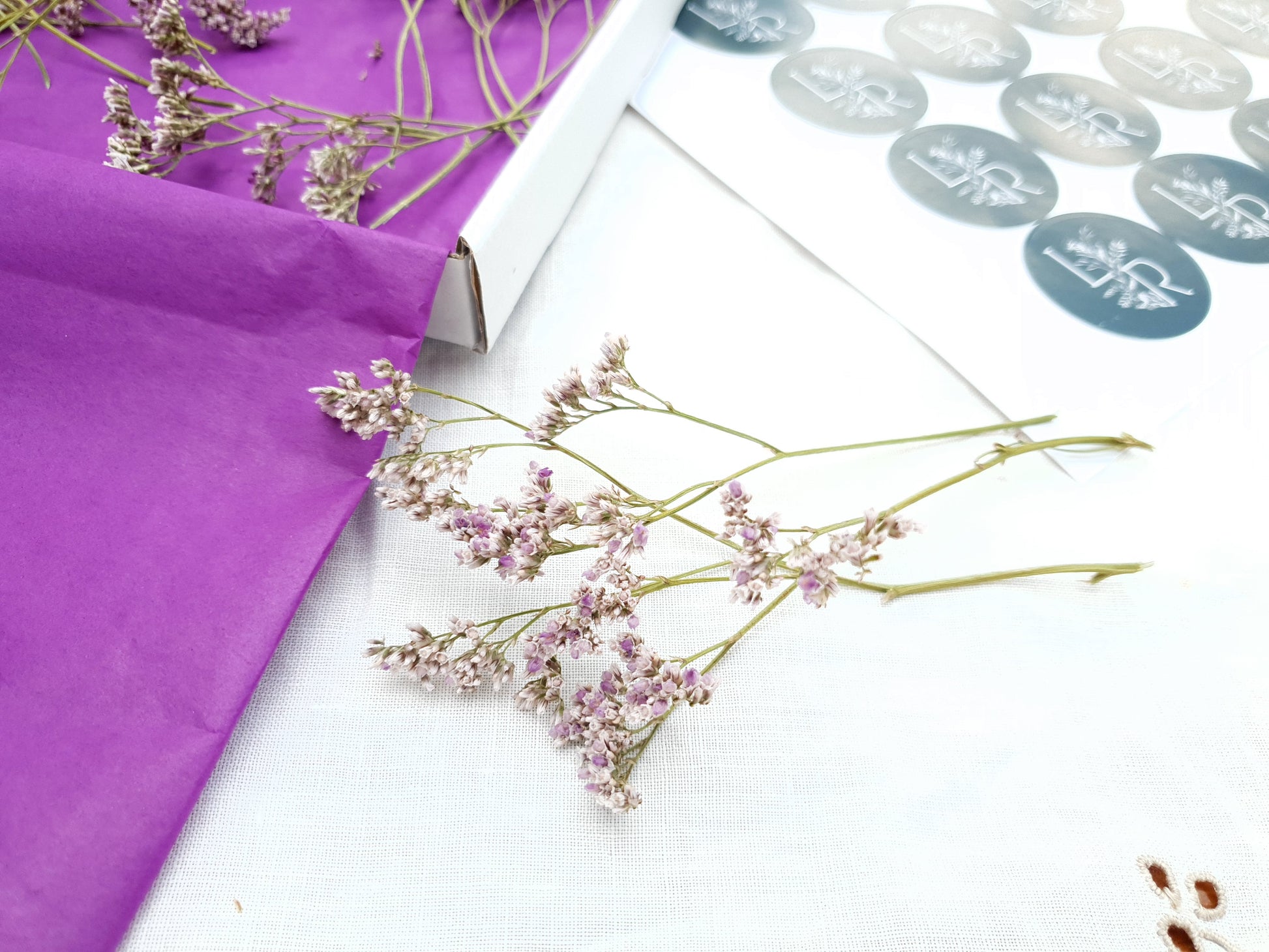 Dried Limonium Sprigs in Lilac, aka Sea Lavender - Lytton Rose Botanical