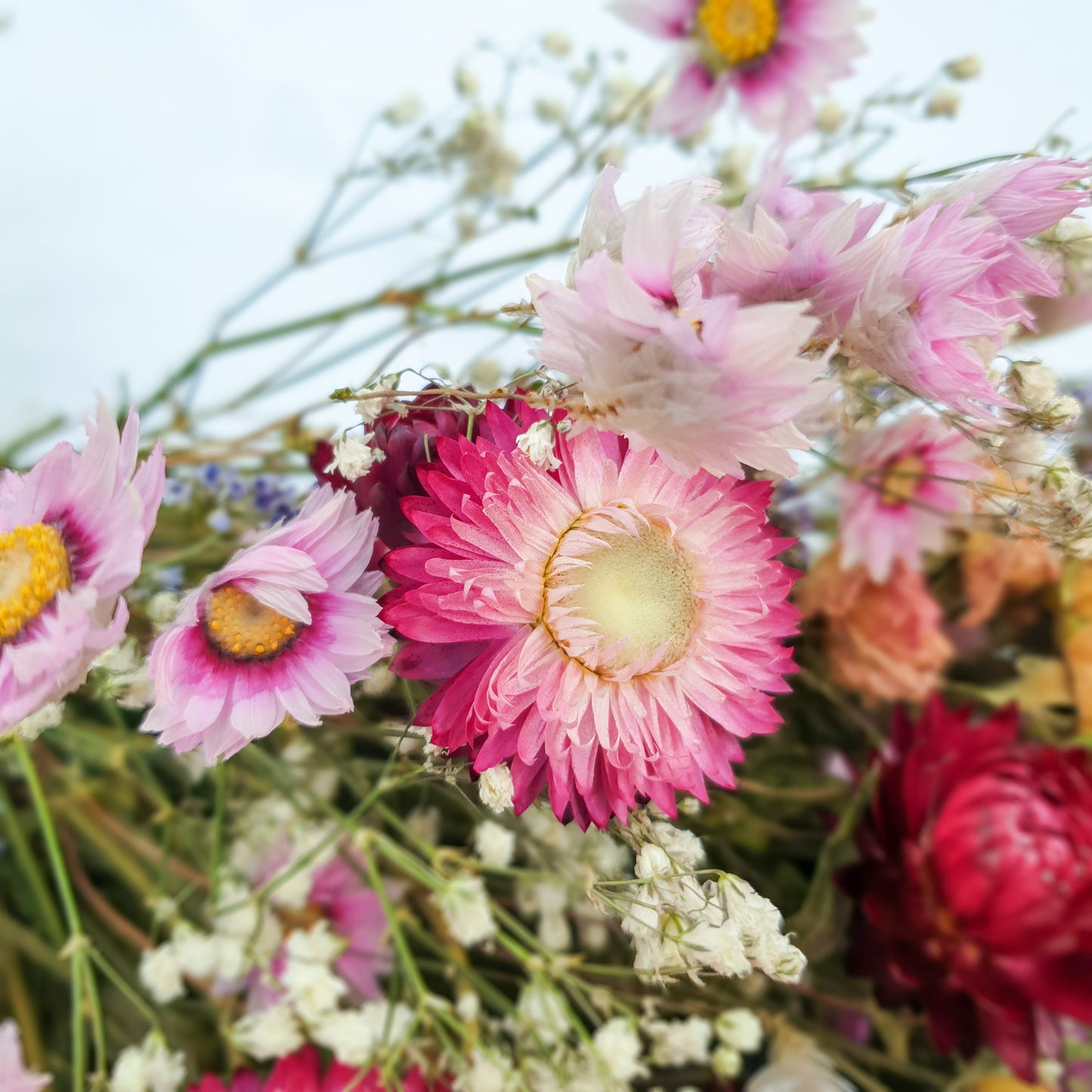"Wildflower Meadows" Luxury Bouquet, Overarm Style - Lytton Rose Botanical