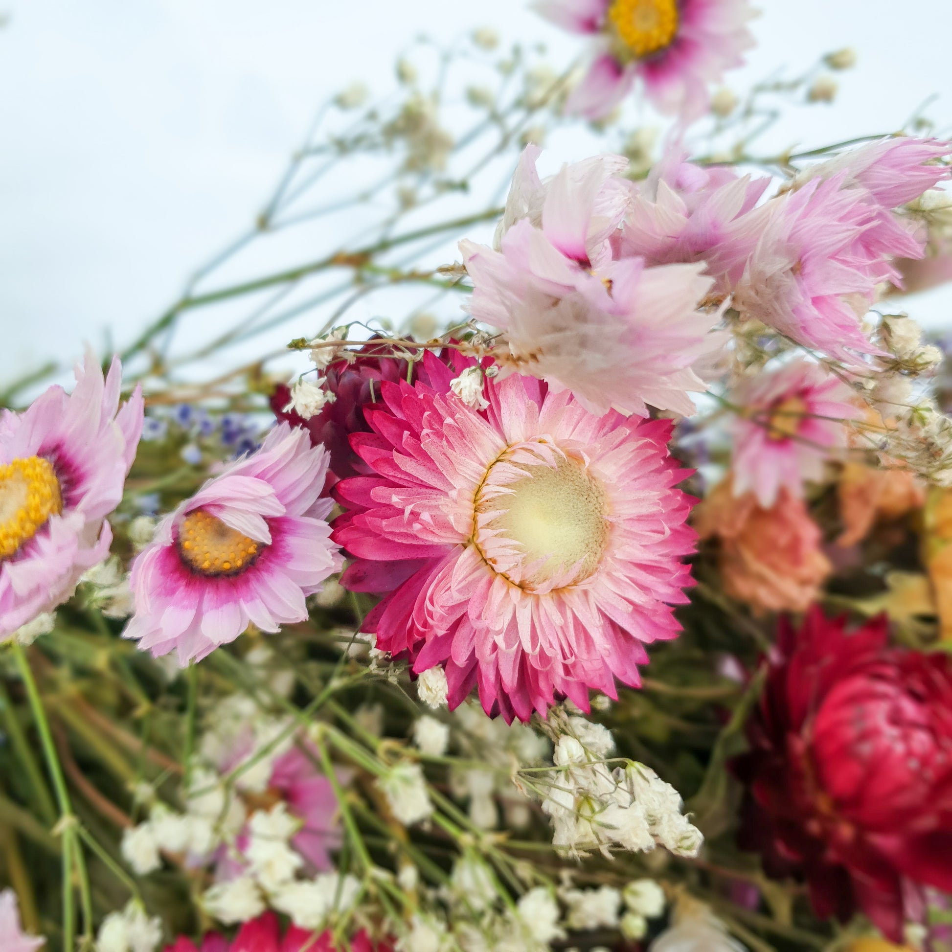 "Wildflower Meadows" Luxury Bouquet, Overarm Style - Lytton Rose Botanical