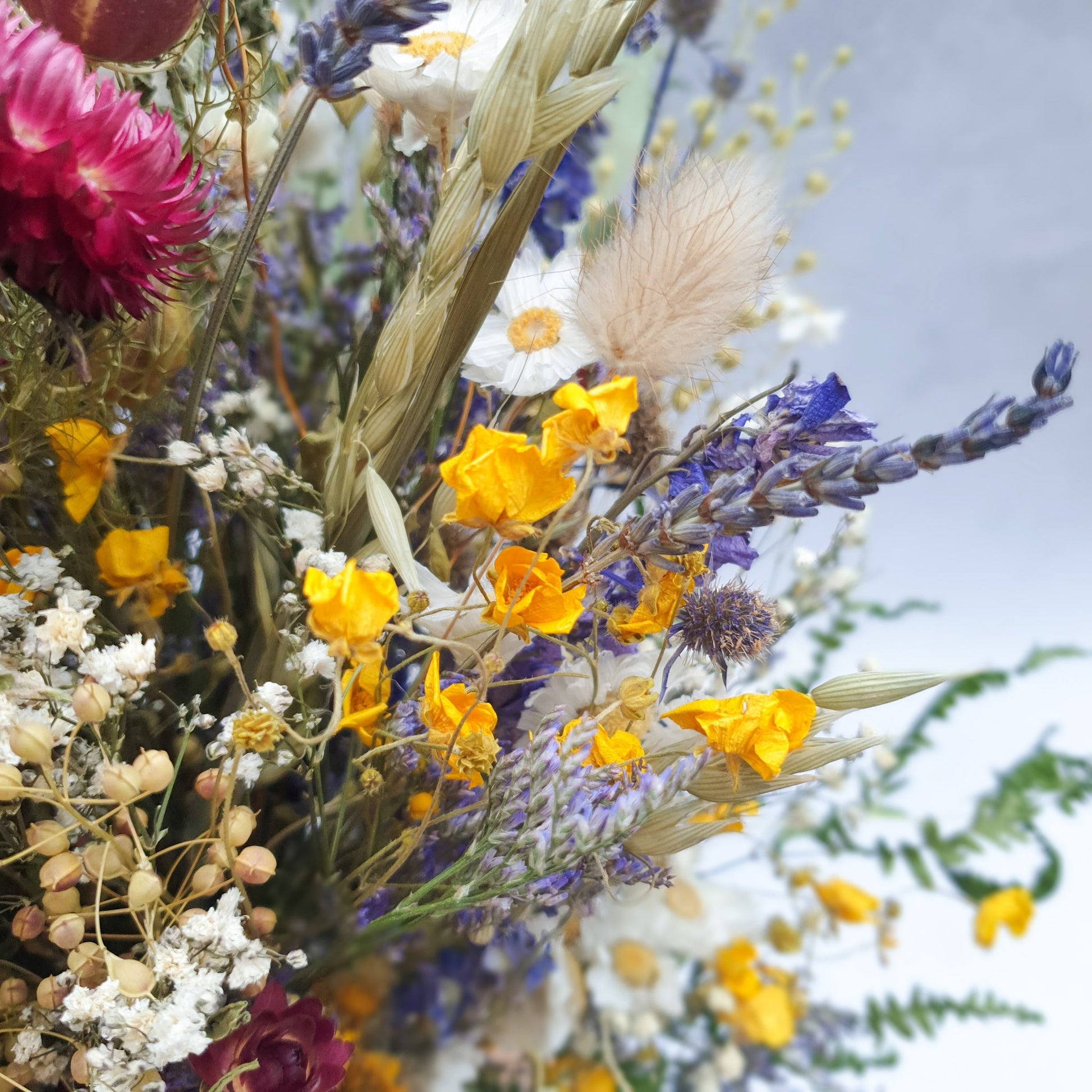 LIMITED EDITION "Wildflower Wonderland" Dried Flower Bouquet - Lytton Rose Botanical