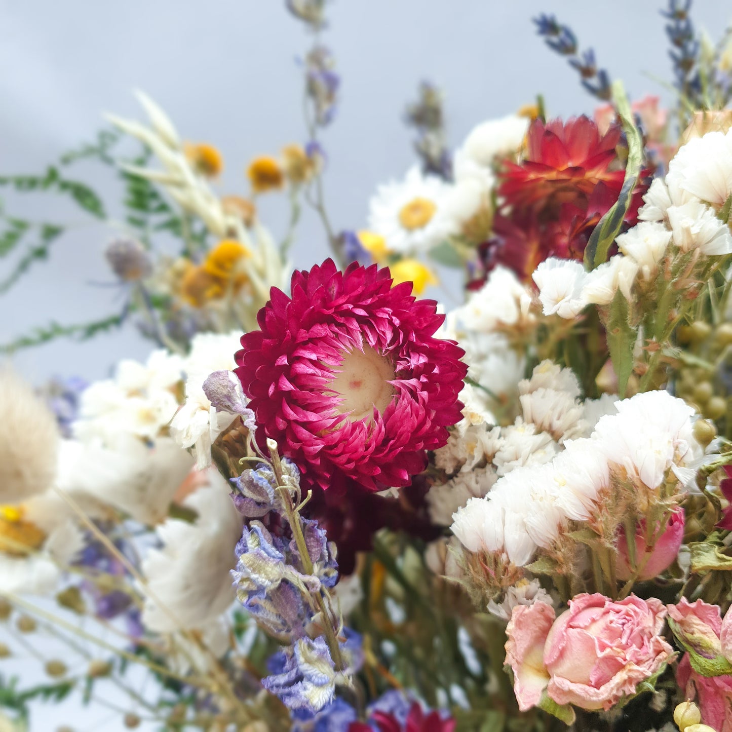 LIMITED EDITION "Wildflower Wonderland" Dried Flower Bouquet - Lytton Rose Botanical