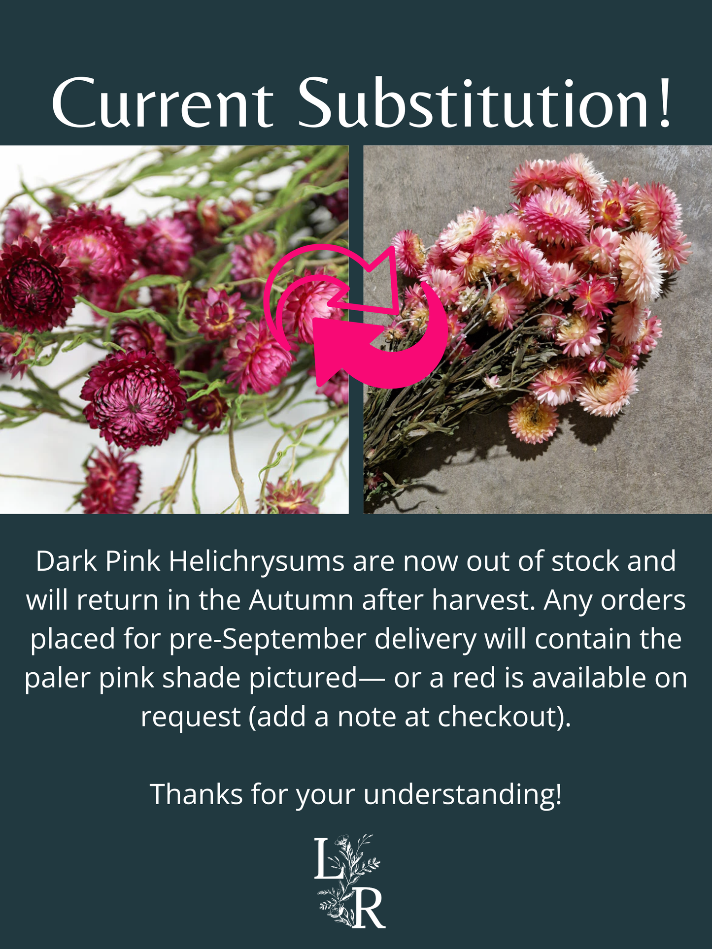 "Wildflower Wonderland" Buttonhole
