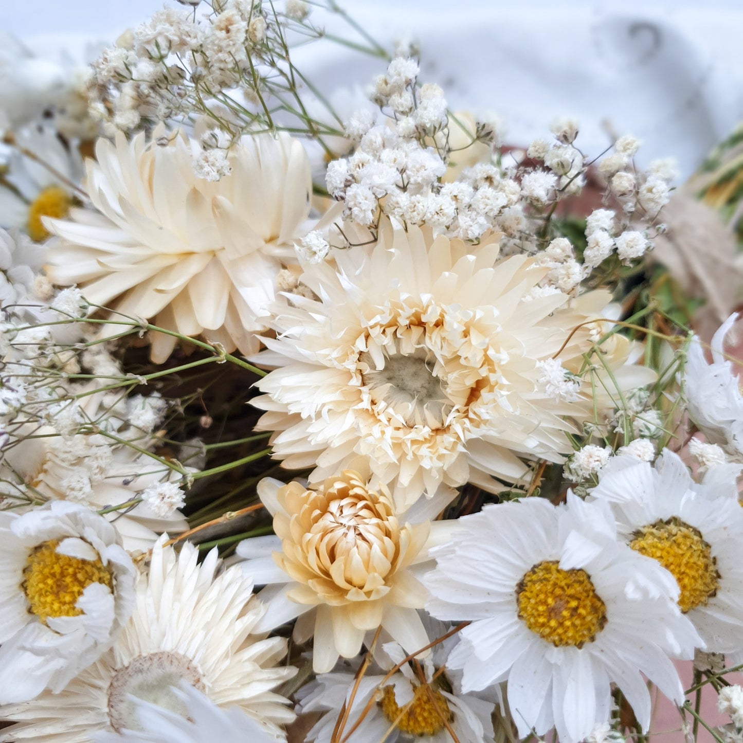 "Love in a Mist" Dried Flower Bouquet - Lytton Rose Botanical
