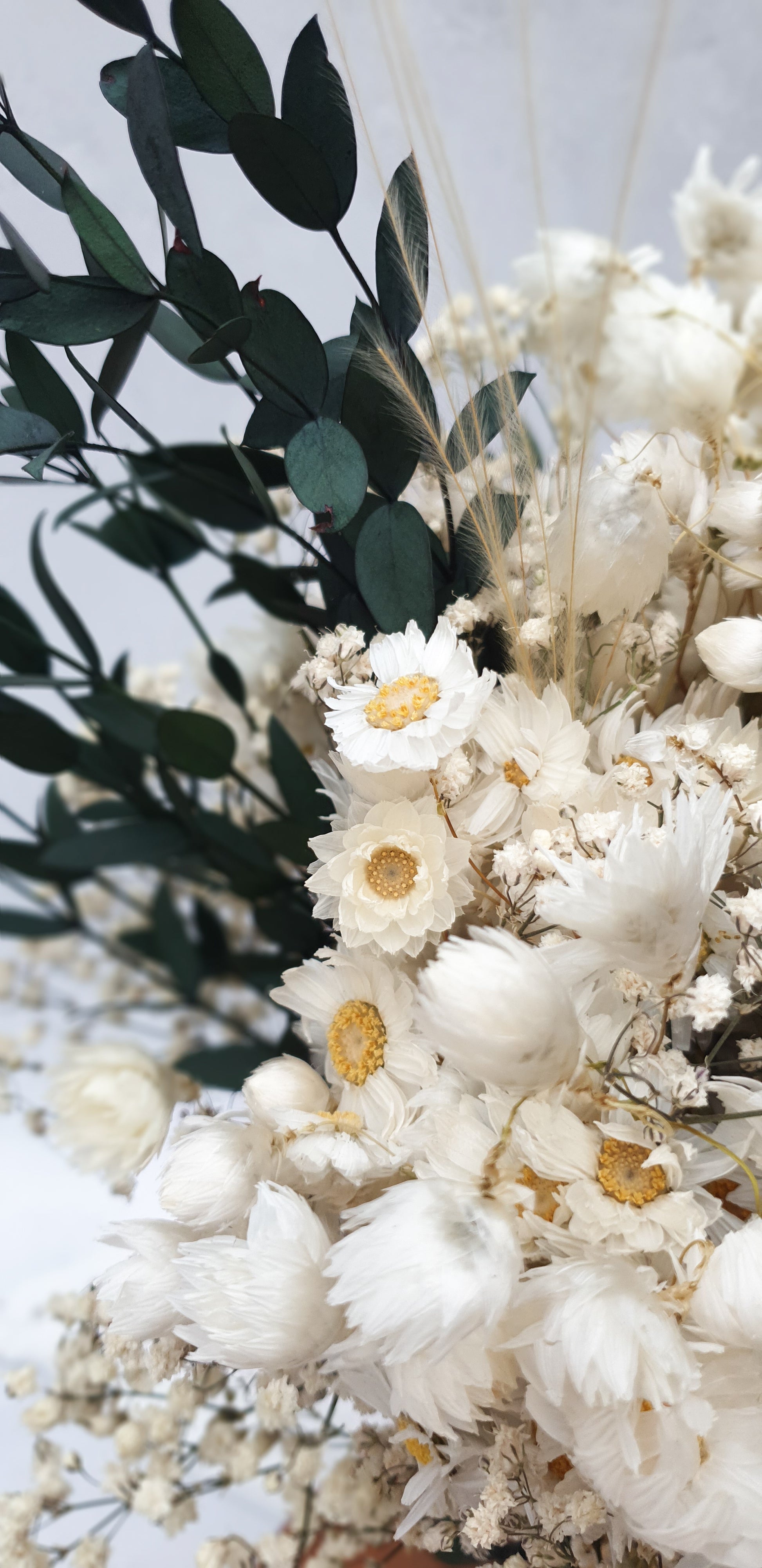 "Snowdrop Glade" Minimalist Large Handtie Bouquet - Lytton Rose Botanical. A close-up image showcasing a cluster of white, dried daisies. The flowers have a delicate, papery texture and a bright yellow center. In the background is dark green eucalyptus parvi which has clusters of oval shaped small leaves.