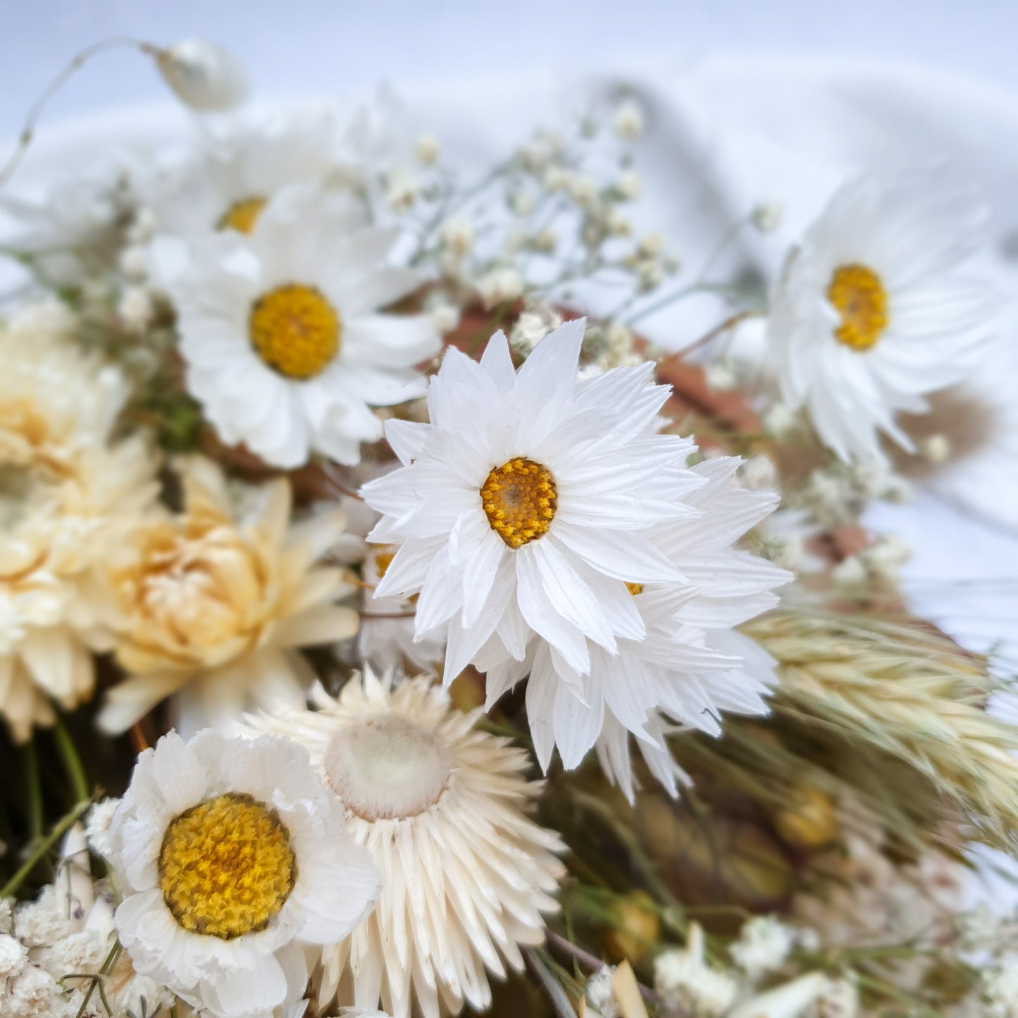 "Love in a Mist" Dried Flower Bouquet - Lytton Rose Botanical