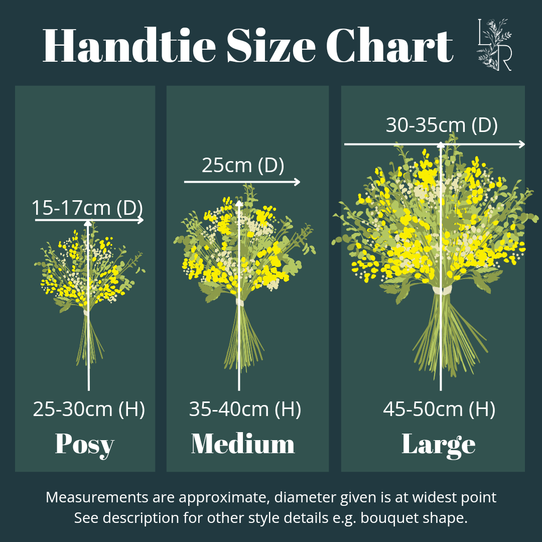 "Snowdrop Glade" Minimalist Large Handtie Bouquet - Lytton Rose Botanical. A chart comparing the size of three hand-tied bouquets: Posy, Medium, and Large. The Posy bouquet measures approximately 15-17cm in diameter and 25-30cm in height. The Medium bouquet measures approximately 25cm in diameter and 35-40cm in height. The Large bouquet measures approximately 30-35cm in diameter and 45-50cm in height. Each bouquet is represented by a visual illustration.