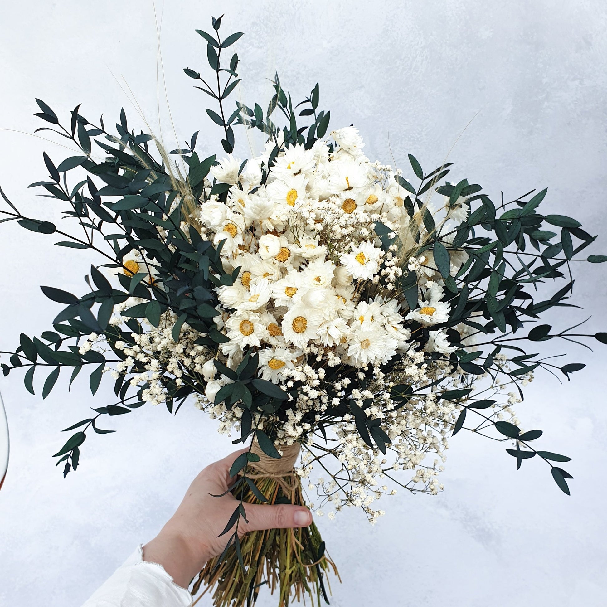 "Snowdrop Glade" Minimalist Large Handtie Bouquet - Lytton Rose Botanical. A beautifully arranged bouquet of dried flowers, showcasing a hand holding the arrangement. Delicate white daisies are the centerpiece, surrounded by lush green eucalyptus leaves and wispy baby's breath. The bouquet is elegantly tied with twine.